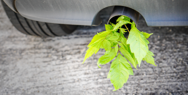 DPF Exhaust Cleaner Eco Friendly